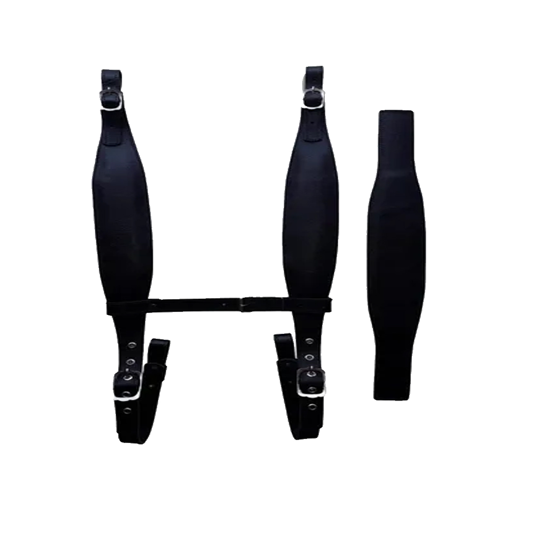 Correia 9CM Sanfona 120BX